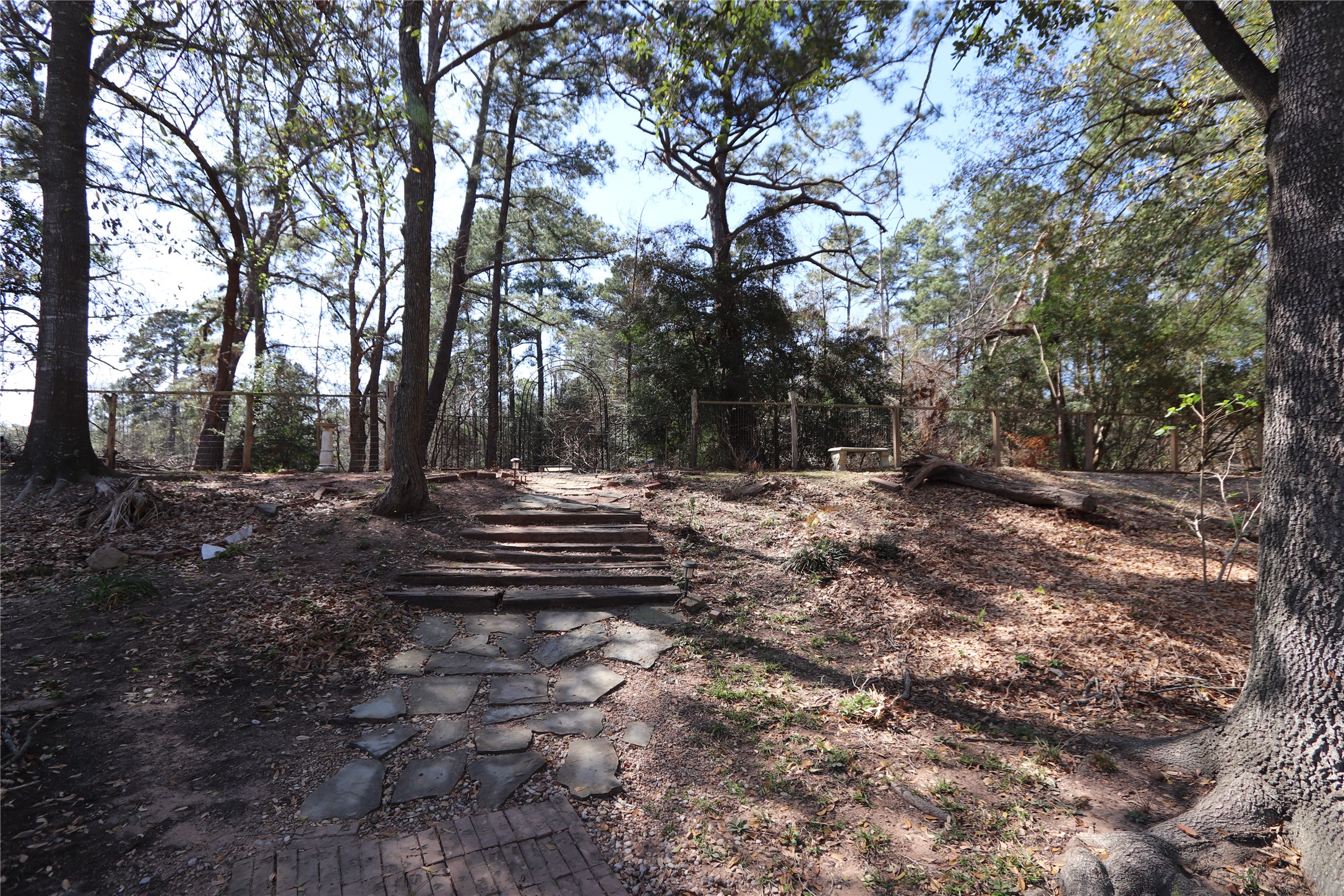 18162 Atkinson Lane Conroe, TX 77384 - Photo 44 of 50 a view of outdoor space with trees
