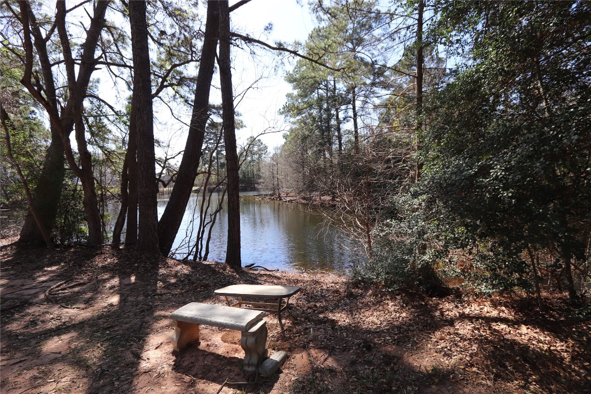 18162 Atkinson Lane Conroe, TX 77384 - Photo 48 of 50 Your own private lake with multiple fishing docks