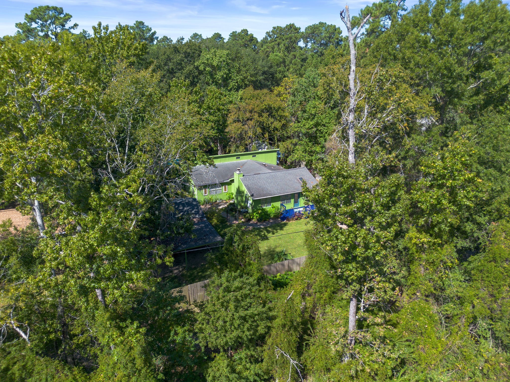 18162 Atkinson Lane Conroe, TX 77384 - Photo 48 of 50 a view of a forest with a street
