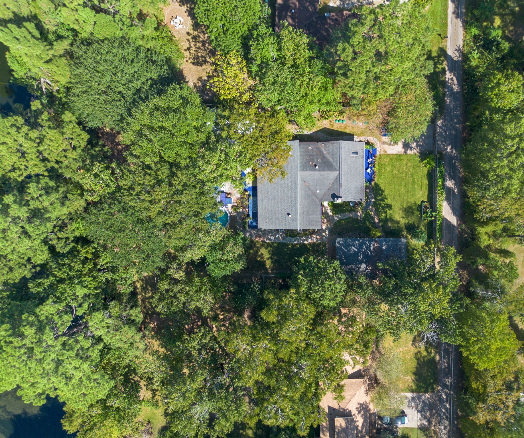 18162 Atkinson Lane Conroe, TX 77384 - Photo 49 of 50 a view of a house with a yard and large trees