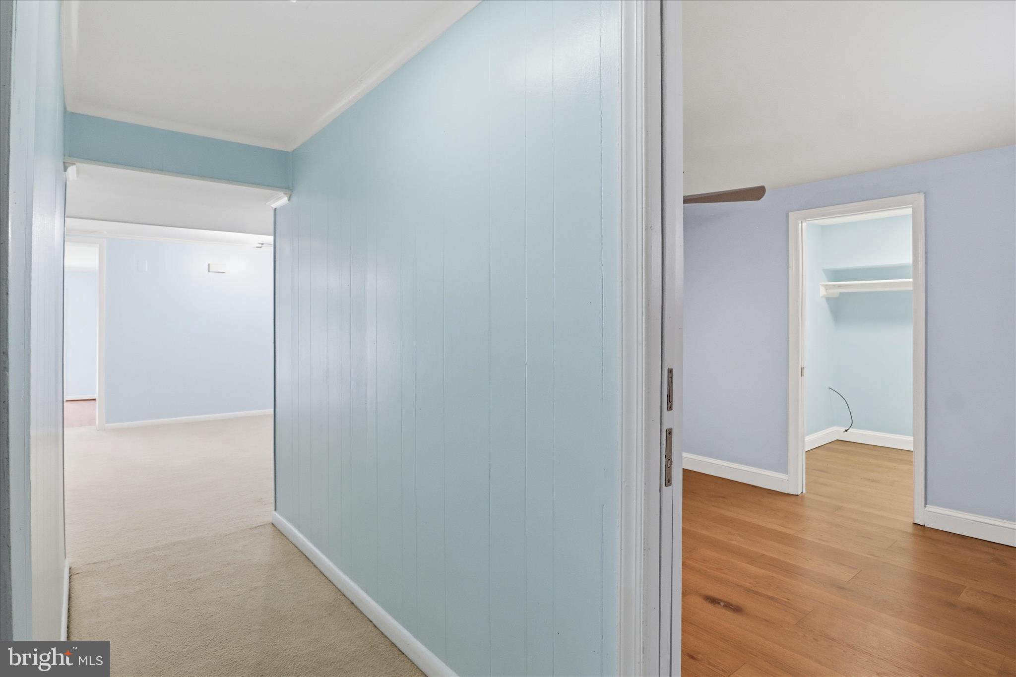 6718 Ruskin Street Springfield, VA 22150 - Photo 48 of 71 Lower Level- Hallway
