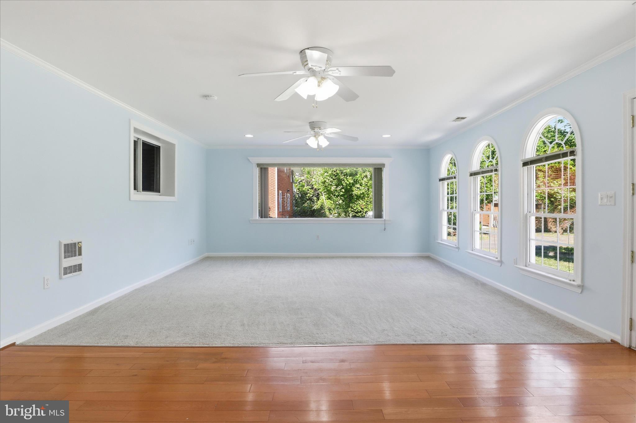 6718 Ruskin Street Springfield, VA 22150 - Photo 51 of 71 Lower Level- Living area or Sitting room