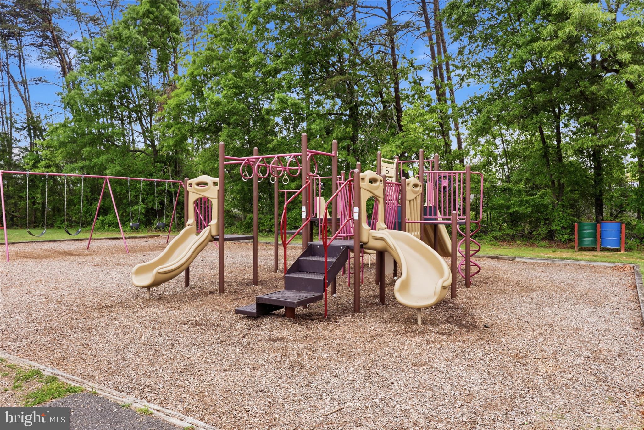 6718 Ruskin Street Springfield, VA 22150 - Photo 63 of 71 Kids Park