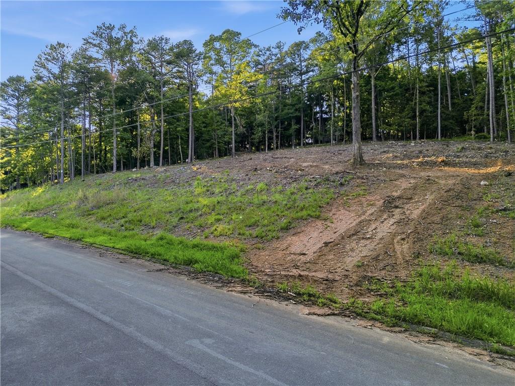 0 Warwick Rome, GA 30161 - Photo 8 of 20