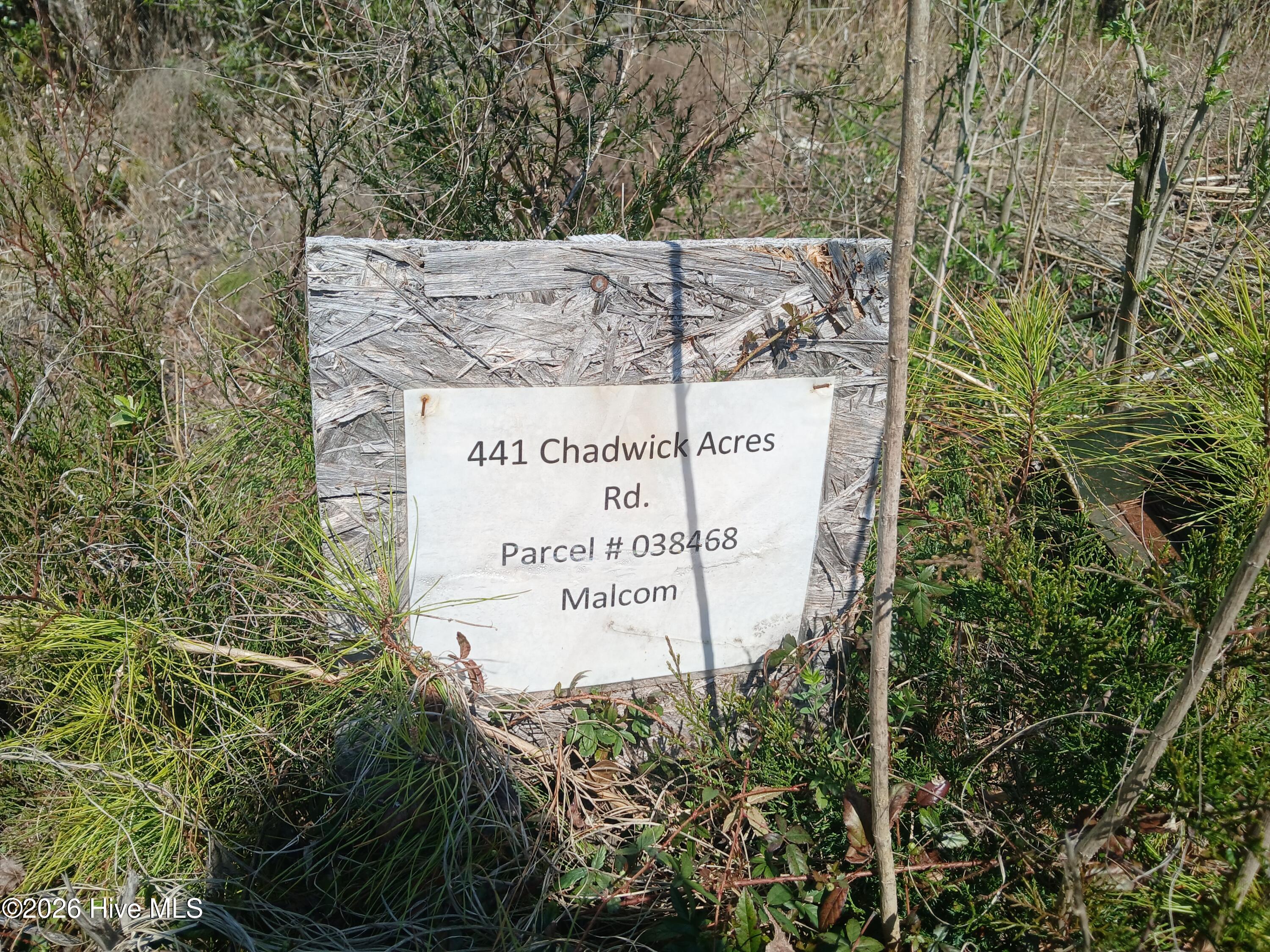 441 Chadwick Acres Road Sneads Ferry, NC 28460 - Photo 4 of 5 441 Chadwick 2