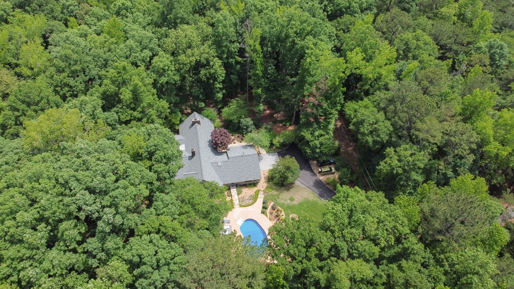392 Mayo Road Ellerslie, GA 31807 - Photo 5 of 62 Gallery Image 5