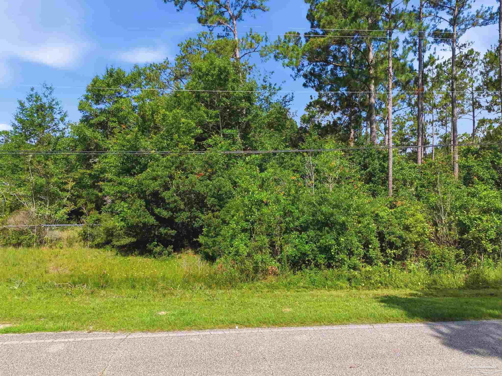 Lot 20 Robinson Point Road Milton, FL 32583 - Photo 24 of 28