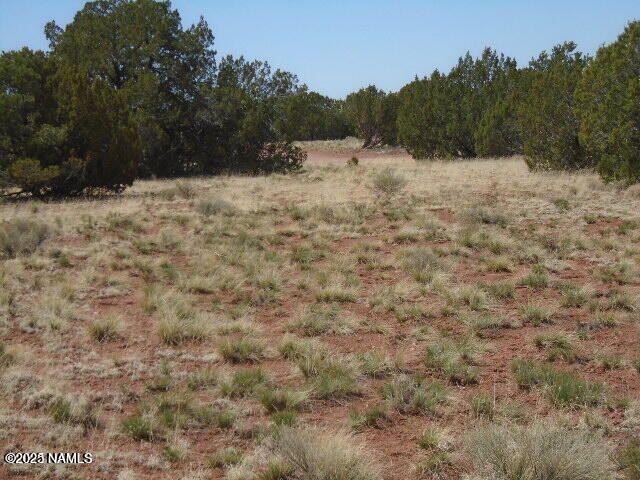 4089 East Oakdale Road Williams, AZ 86046 - Photo 11 of 11 a view of a dry yard