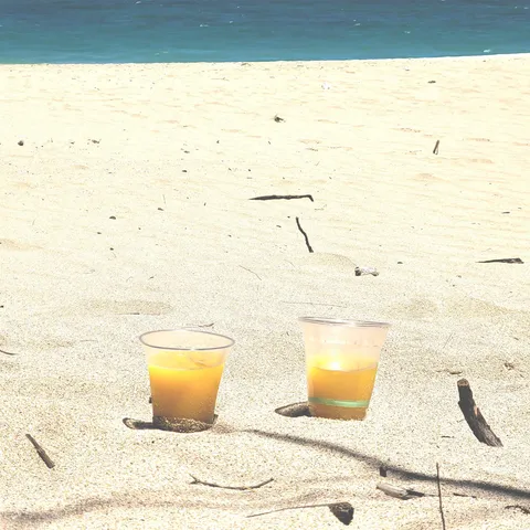 a view of a dry yard