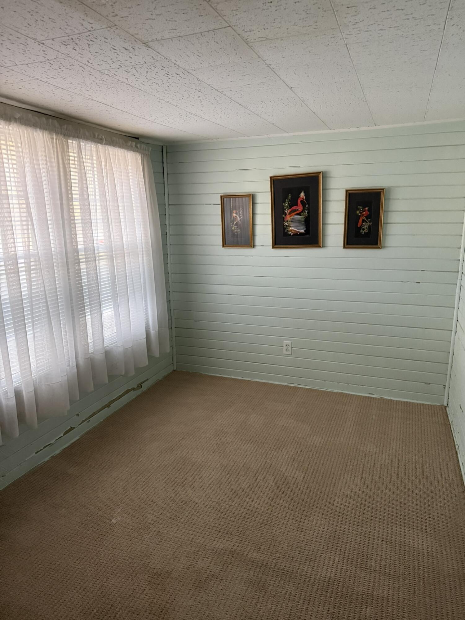 359 Murray Street Orangeburg, SC 29115 - Photo 7 of 8 IMG_0825