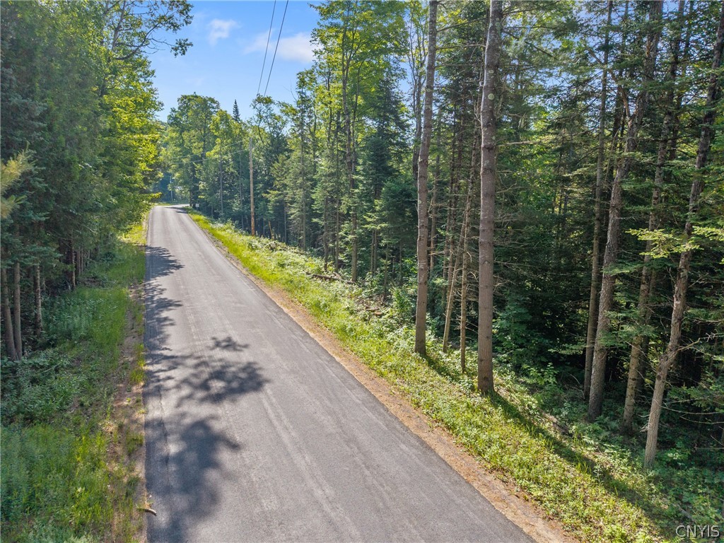 Fish Creek Road Greig, NY 13345 - Photo 4 of 14
