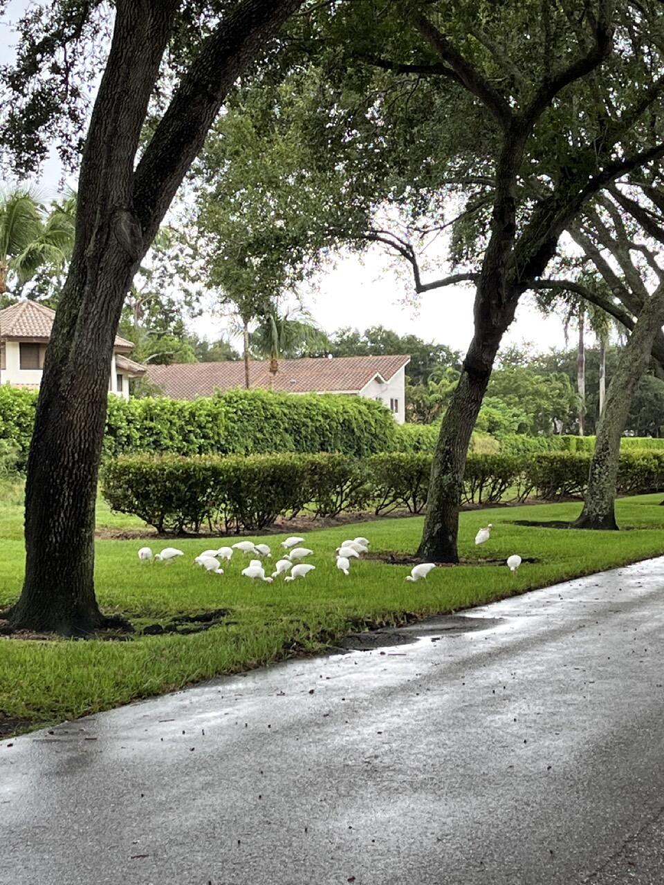 4020 Northwest 24th Terrace Boca Raton, FL 33431 - Photo 23 of 27 IMG_0700 Large
