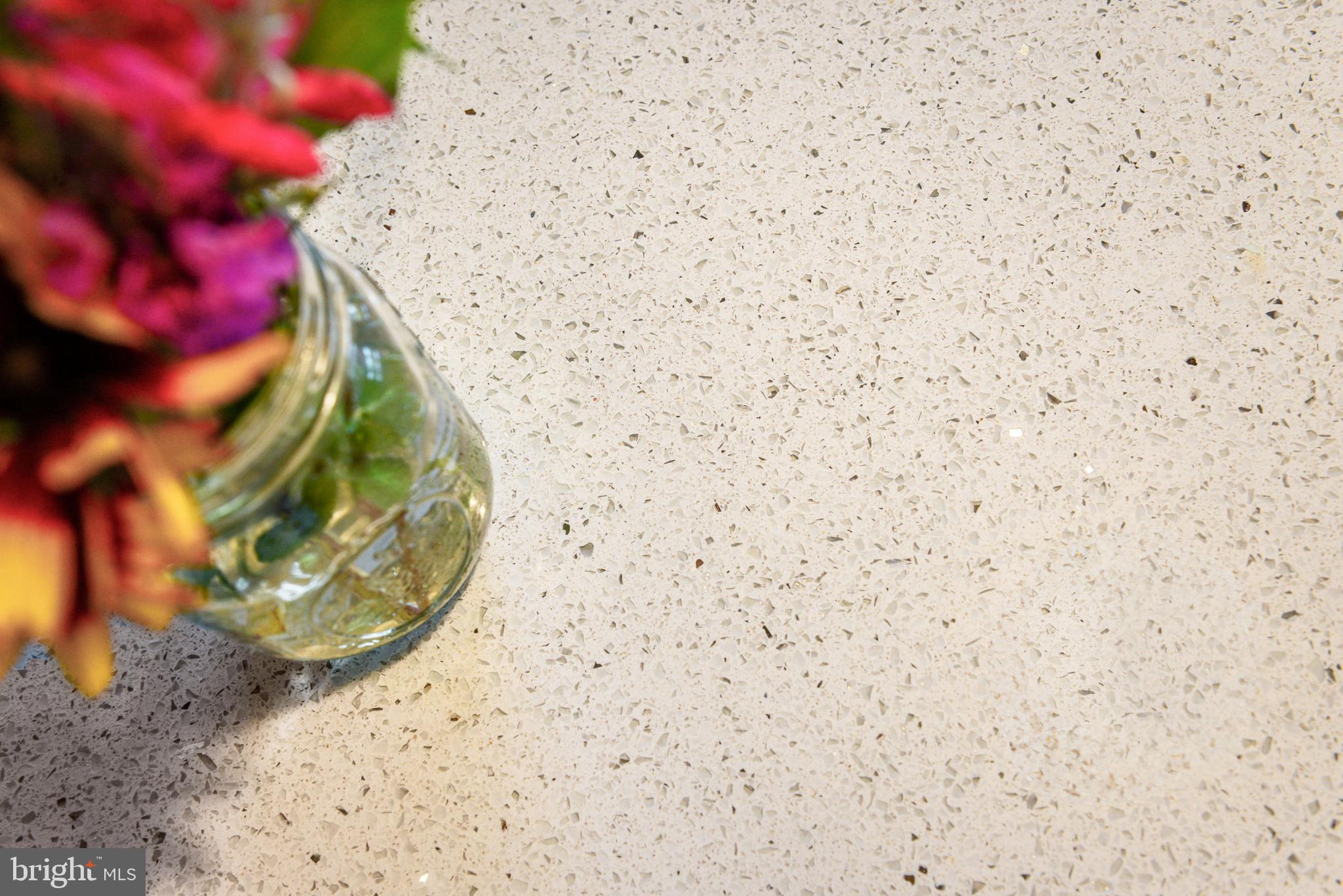 4107 Baker Valley Road Frederick, MD 21704 - Photo 13 of 40 Beautiful quartz countertops.