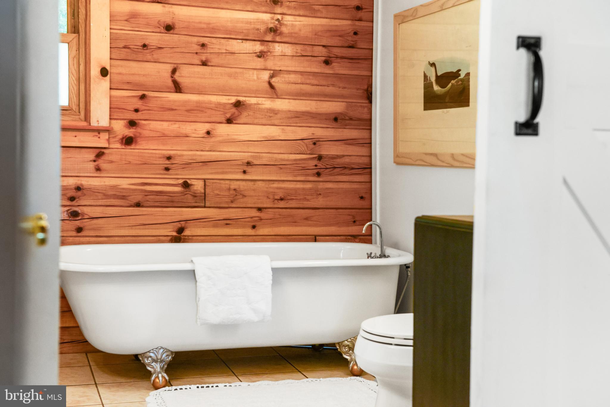 4107 Baker Valley Road Frederick, MD 21704 - Photo 20 of 40 Relax all stress away in a clawfoot soaking tub.