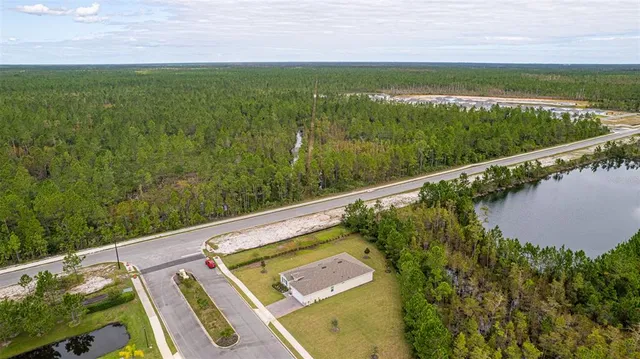 a view of a swimming pool with a garden and plants