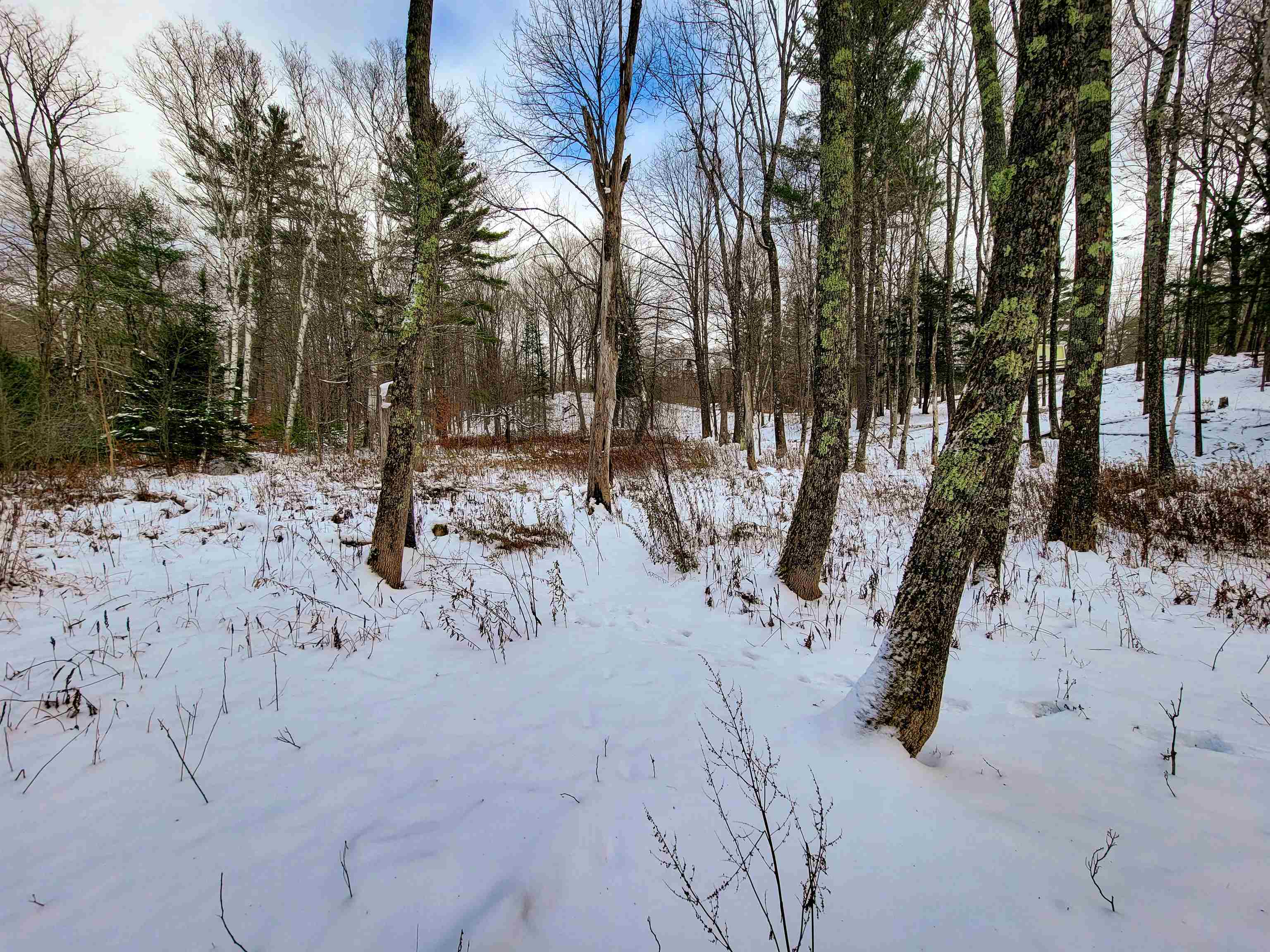 1165 West County Road Calais, VT 05648 - Photo 15 of 41