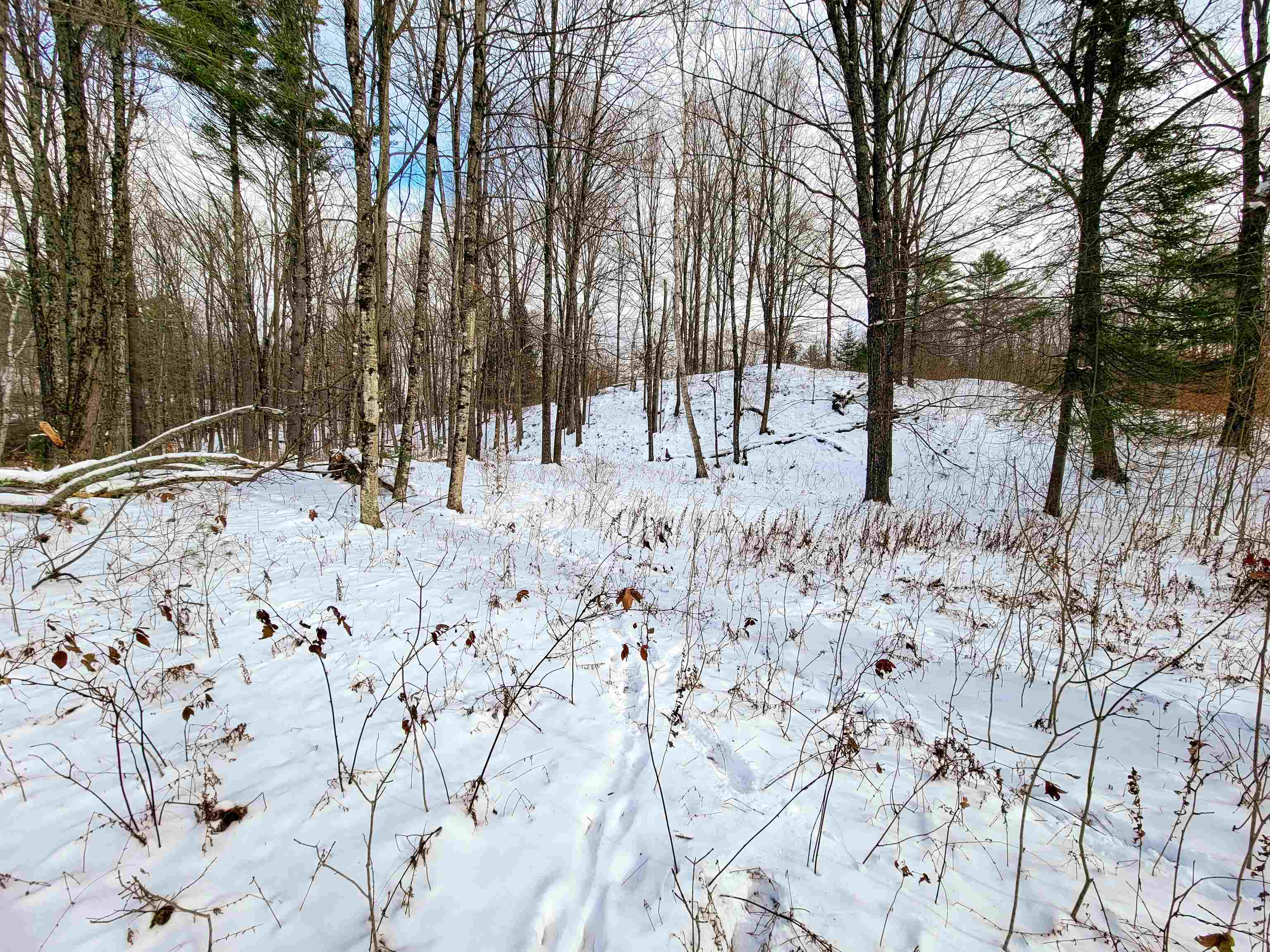 1165 West County Road Calais, VT 05648 - Photo 18 of 41