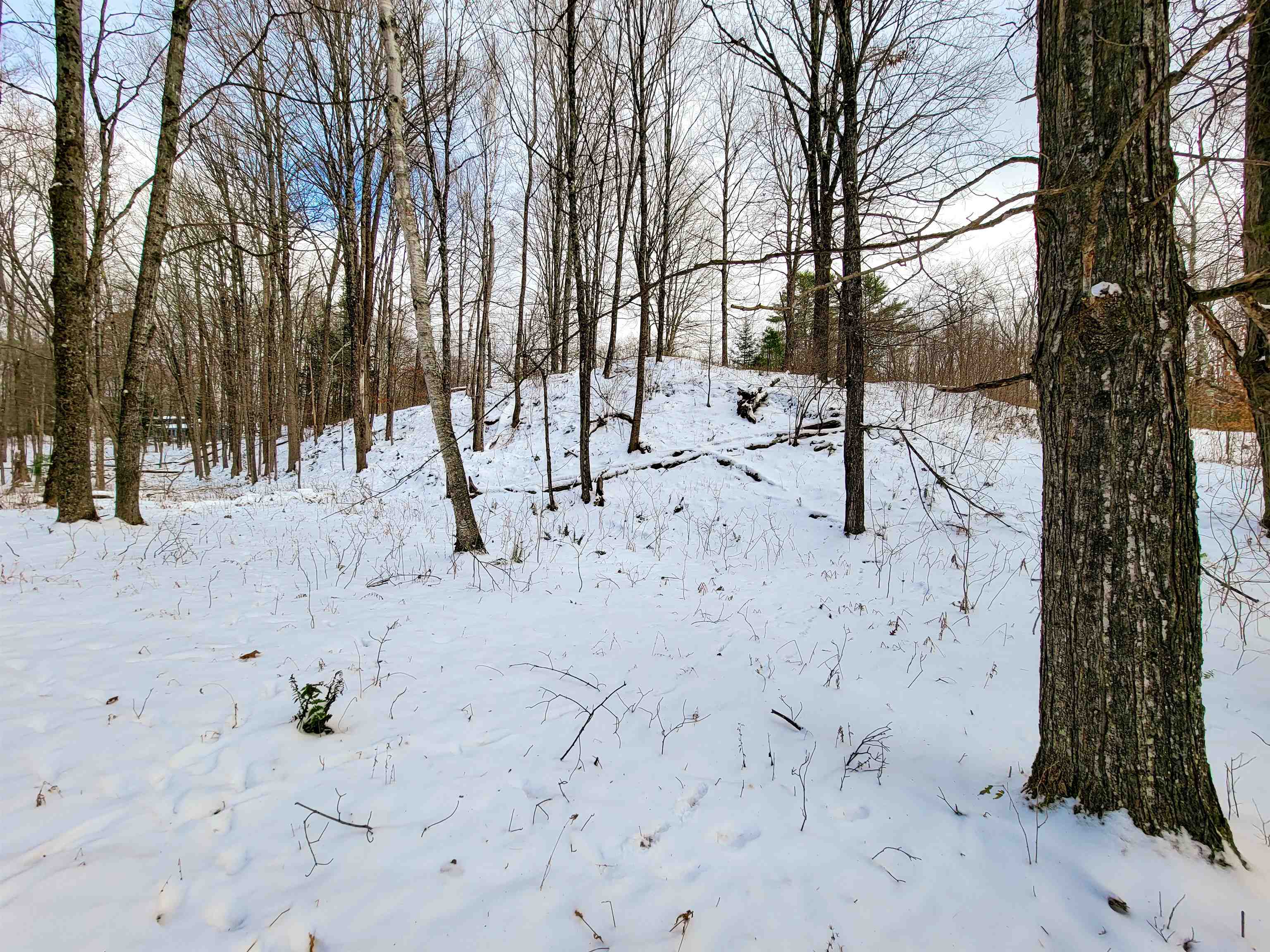 1165 West County Road Calais, VT 05648 - Photo 19 of 41