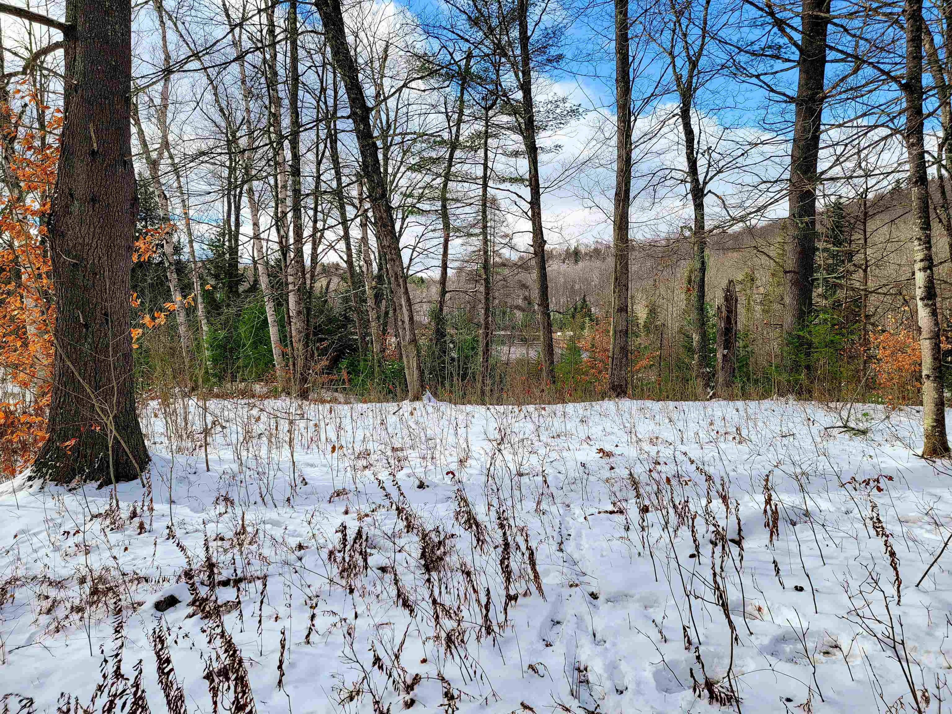 1165 West County Road Calais, VT 05648 - Photo 20 of 41