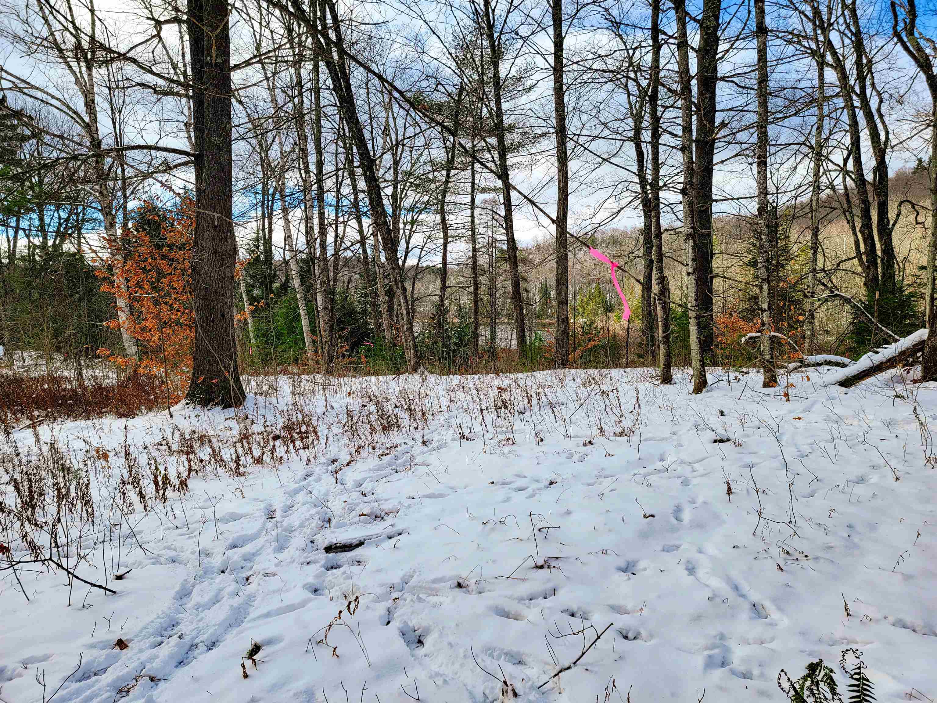 1165 West County Road Calais, VT 05648 - Photo 23 of 41