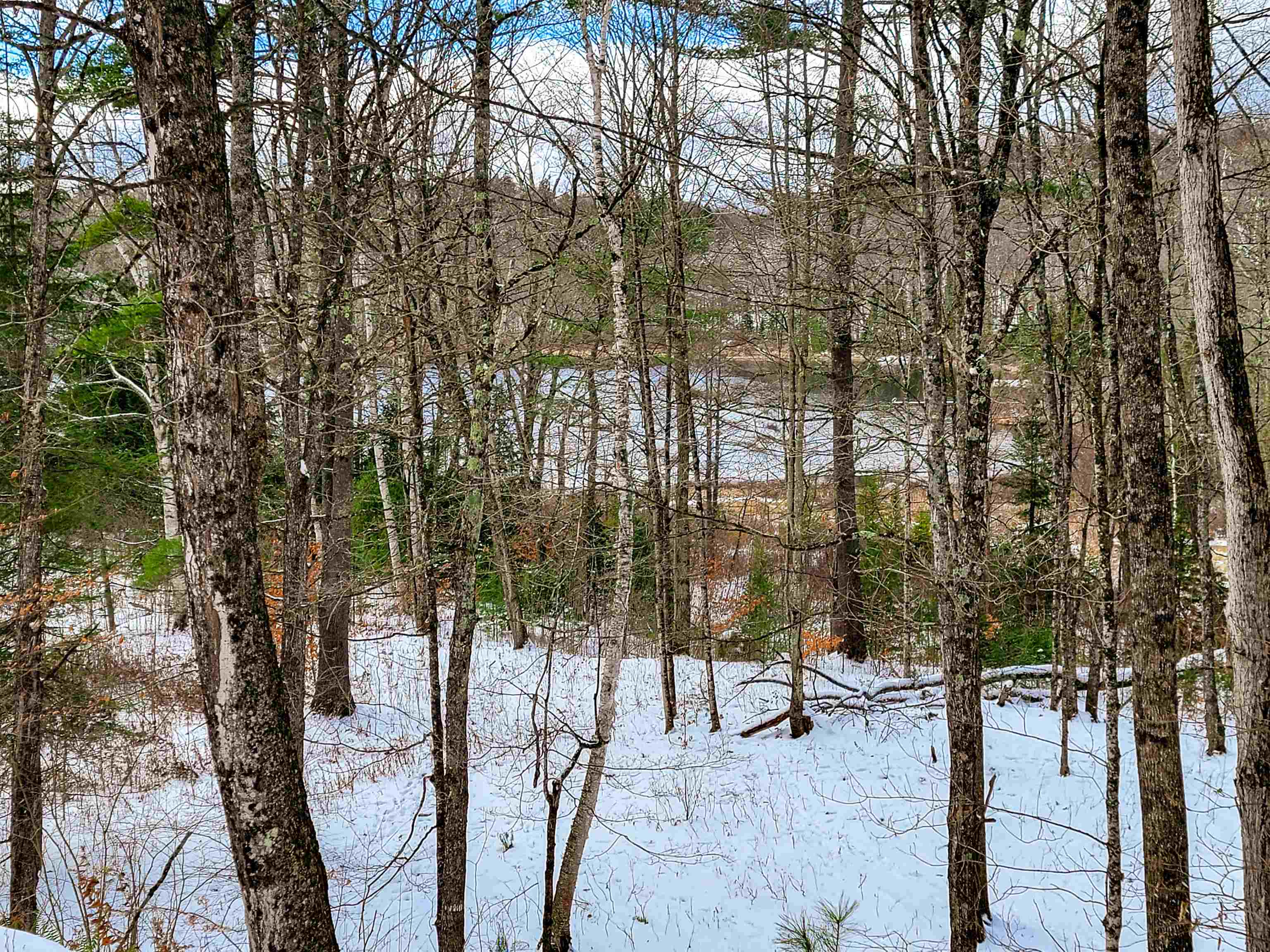 1165 West County Road Calais, VT 05648 - Photo 26 of 41