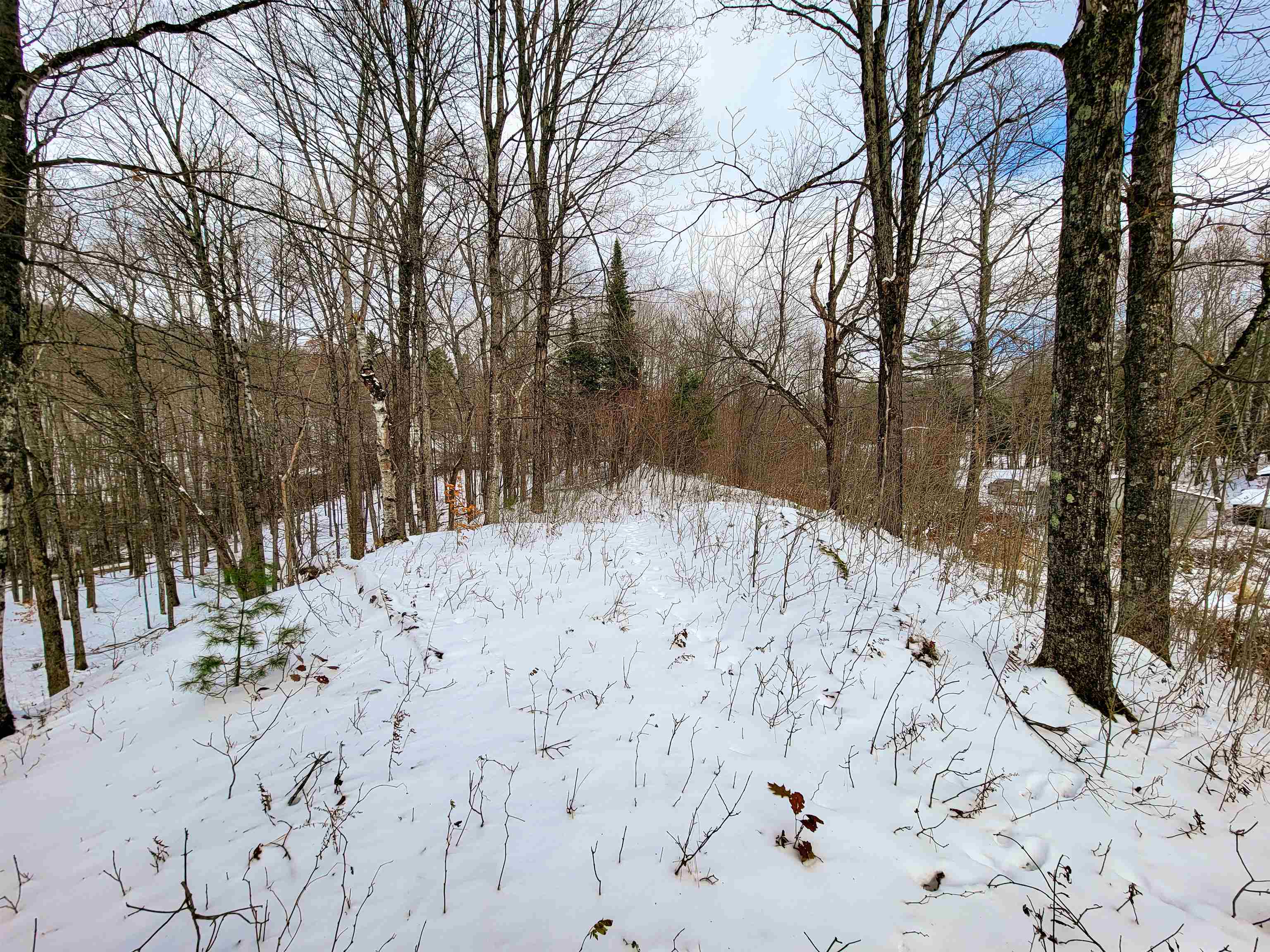 1165 West County Road Calais, VT 05648 - Photo 27 of 41