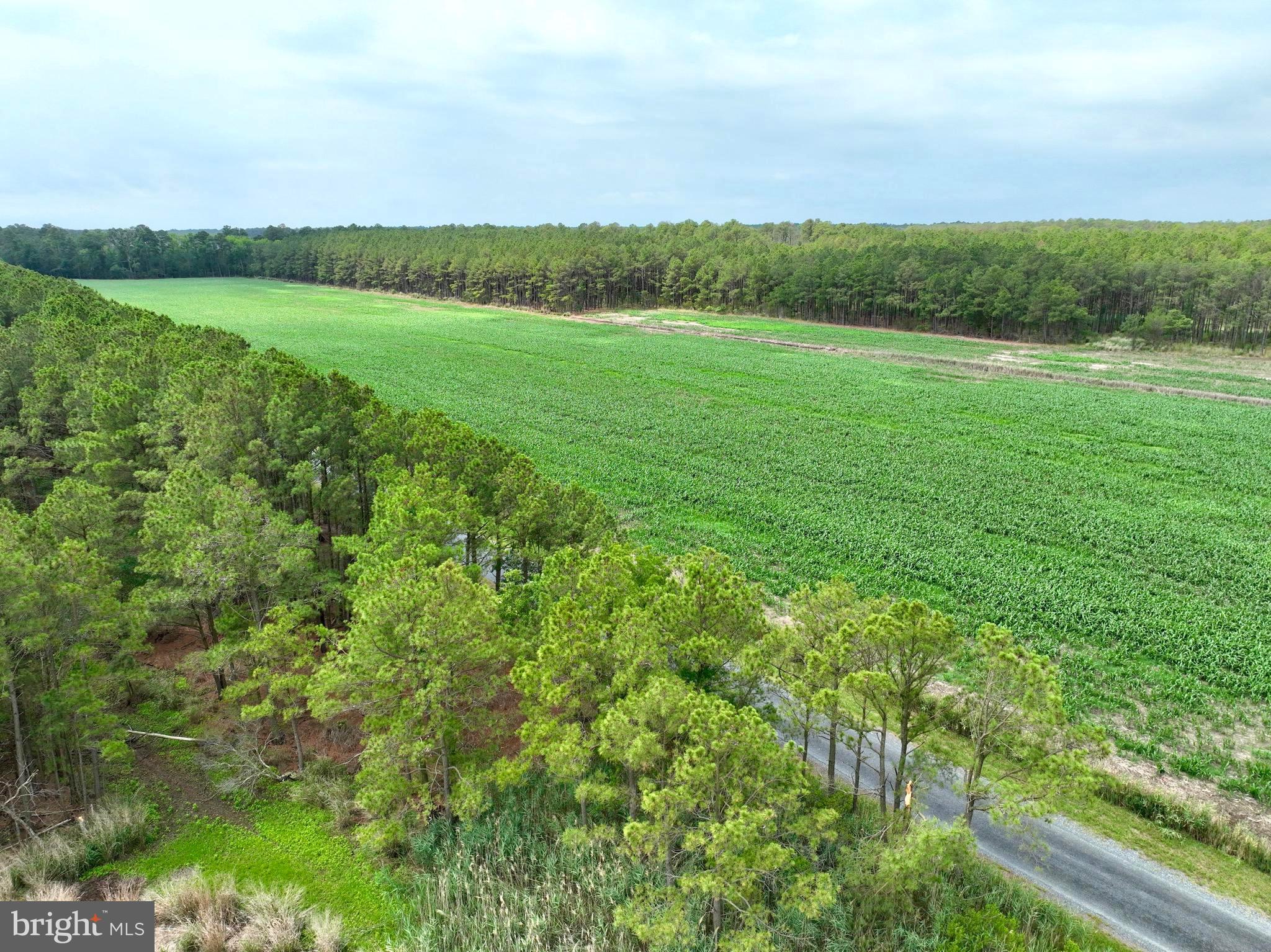 0 Hooper Neck Road Madison, MD 21648 - Photo 22 of 129