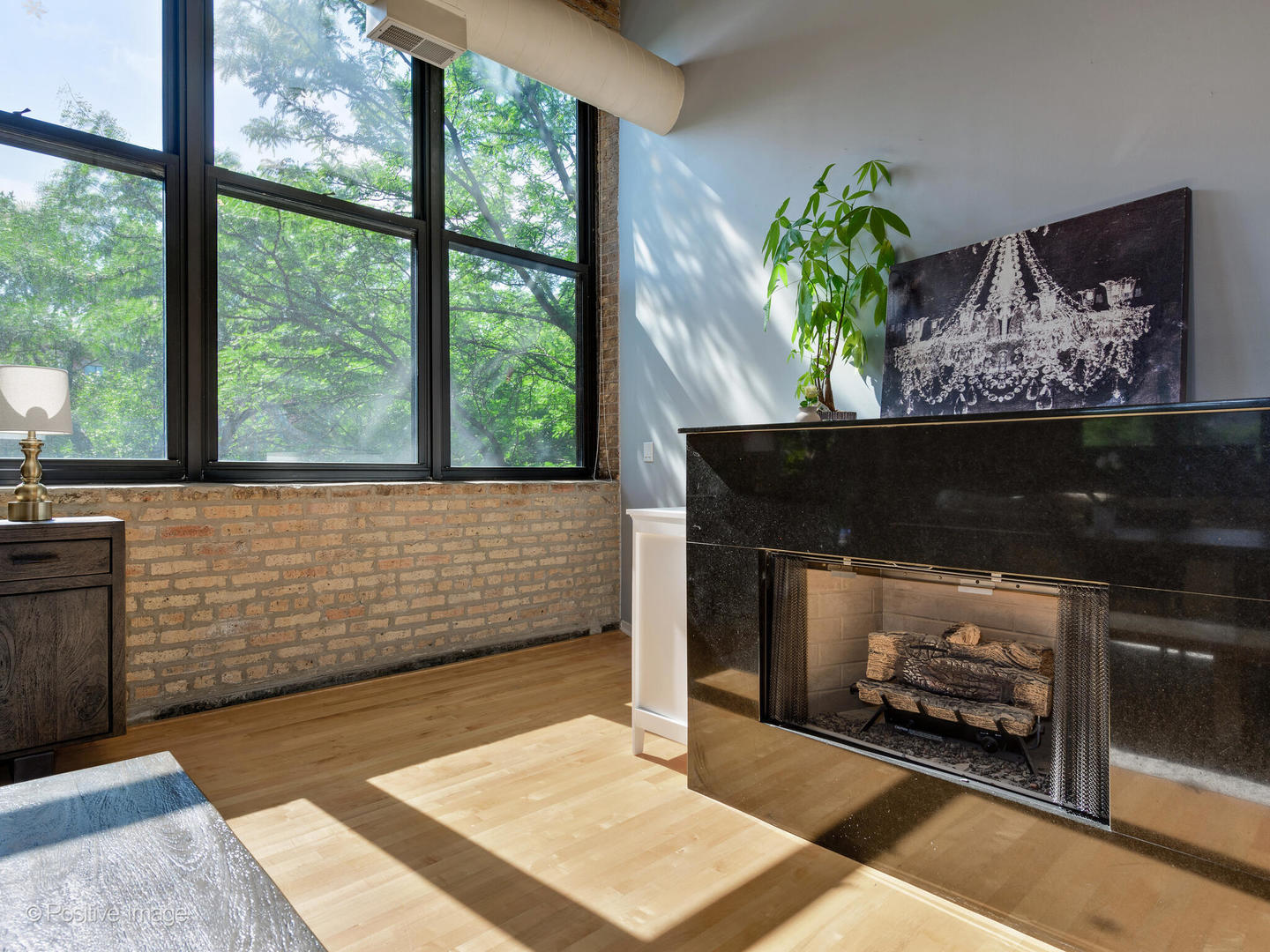 203 South Sangamon Street, Unit 213 Chicago, IL 60607 - Photo 5 of 23 a view of an entryway with a flower pot