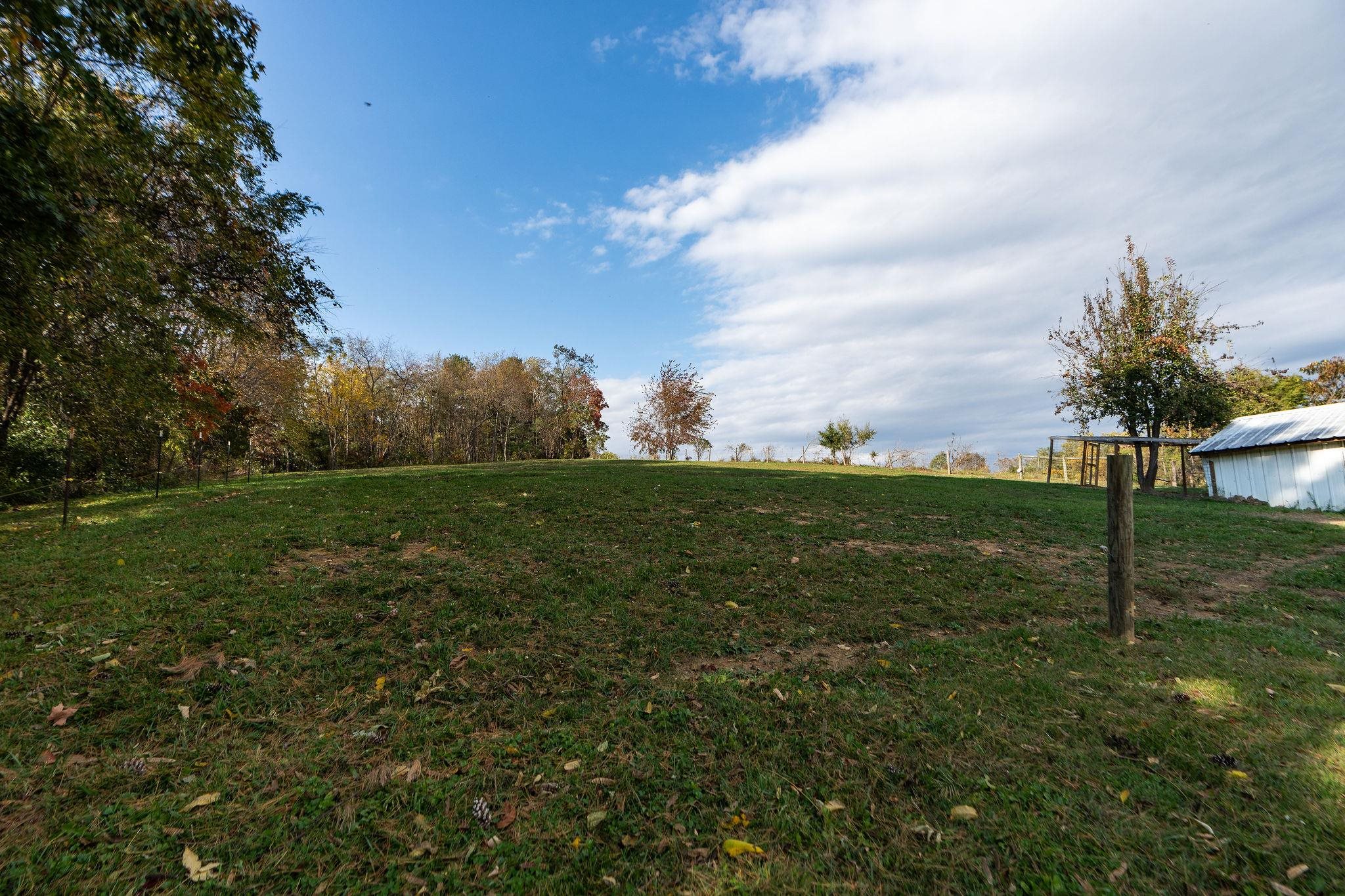 1111 Jennings Gap Road Churchville, VA 24421 - Photo 16 of 75 a backyard of a house with lots of green space