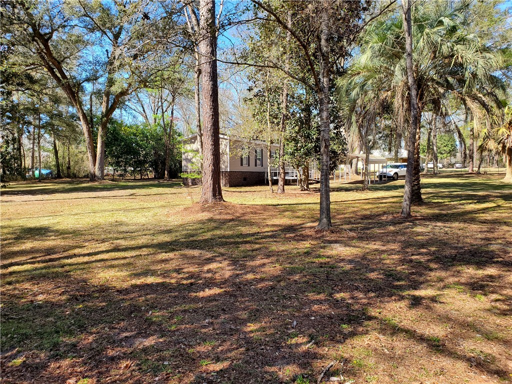 9737 Black Jack Road Macclenny, FL 32063 - Photo 12 of 14 Lovely park like grounds