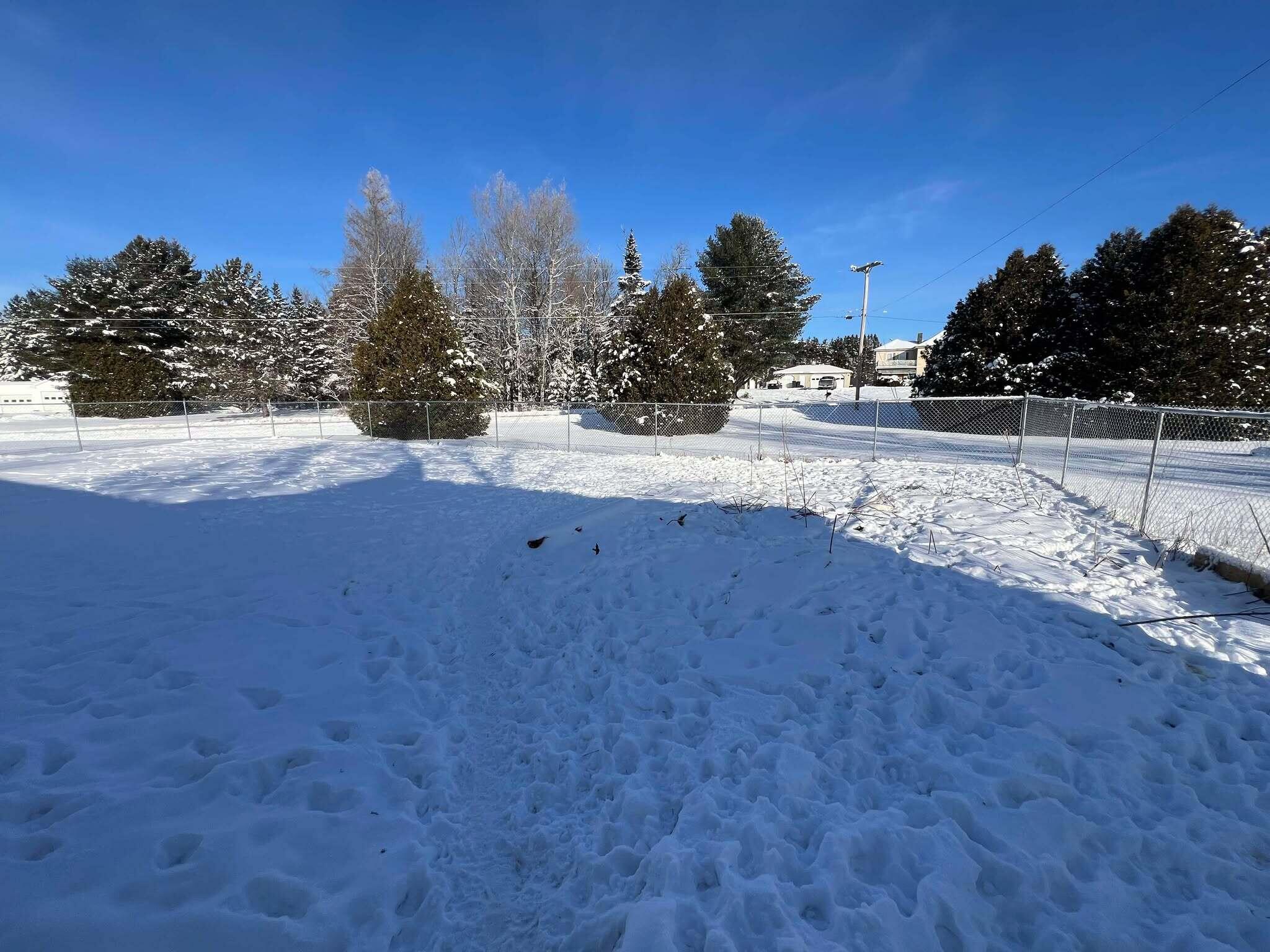 932 Van Buren Road Caswell, ME 04750 - Photo 28 of 49 Fenced in area