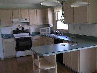 6856 Secor Road Petersburg, MI 49270 - Photo 7 of 8 714011-6.JPG