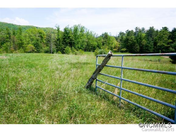Lot 7 Locust Grove Road, Unit 7 Hendersonville, NC 28792 - Photo 3 of 8