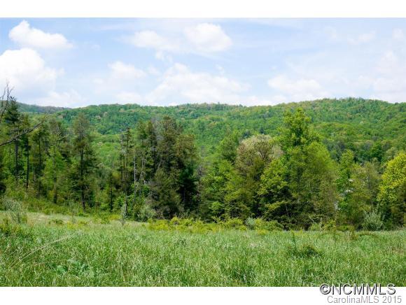 Lot 7 Locust Grove Road, Unit 7 Hendersonville, NC 28792 - Photo 8 of 8