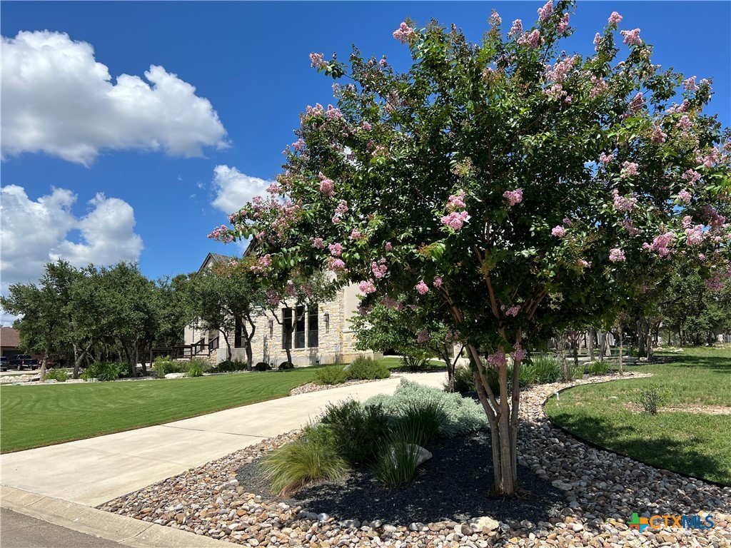 407 Havasu Point Spring Branch, TX 78070 - Photo 5 of 36 a view of a park with large trees