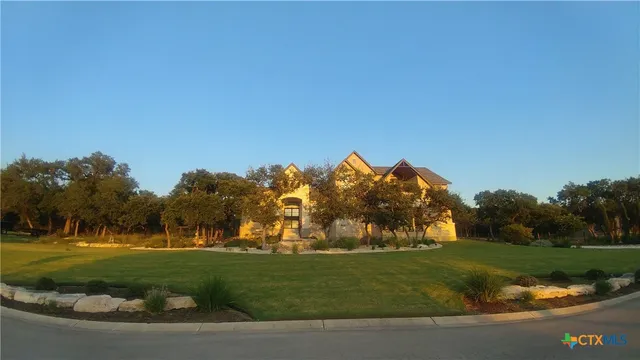a view of a field with a tree