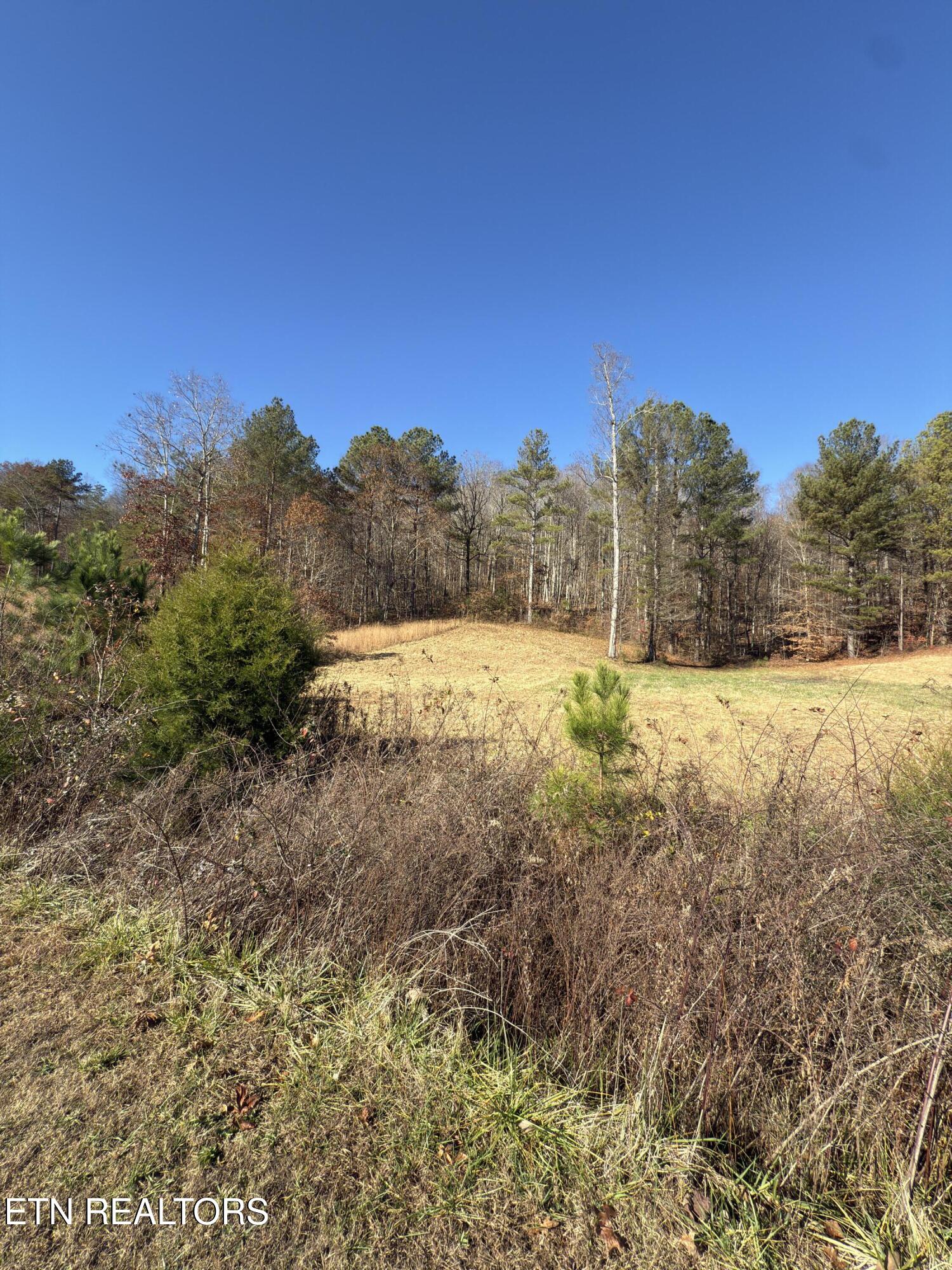 331 Enclave Way Kingston, TN 37763 - Photo 11 of 14 Lot 71 Street View C