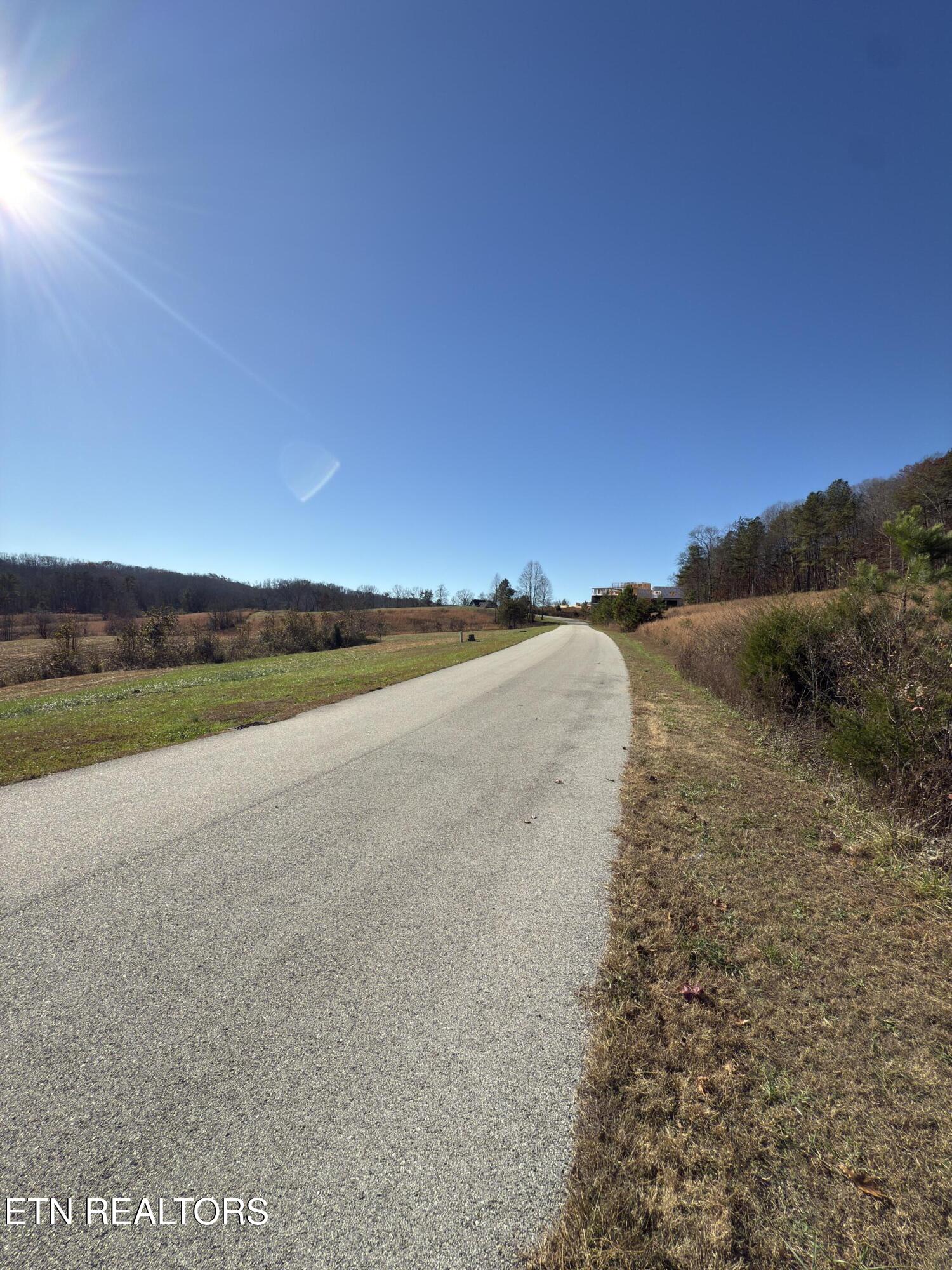 331 Enclave Way Kingston, TN 37763 - Photo 12 of 14 Lot 71 Road Front View A