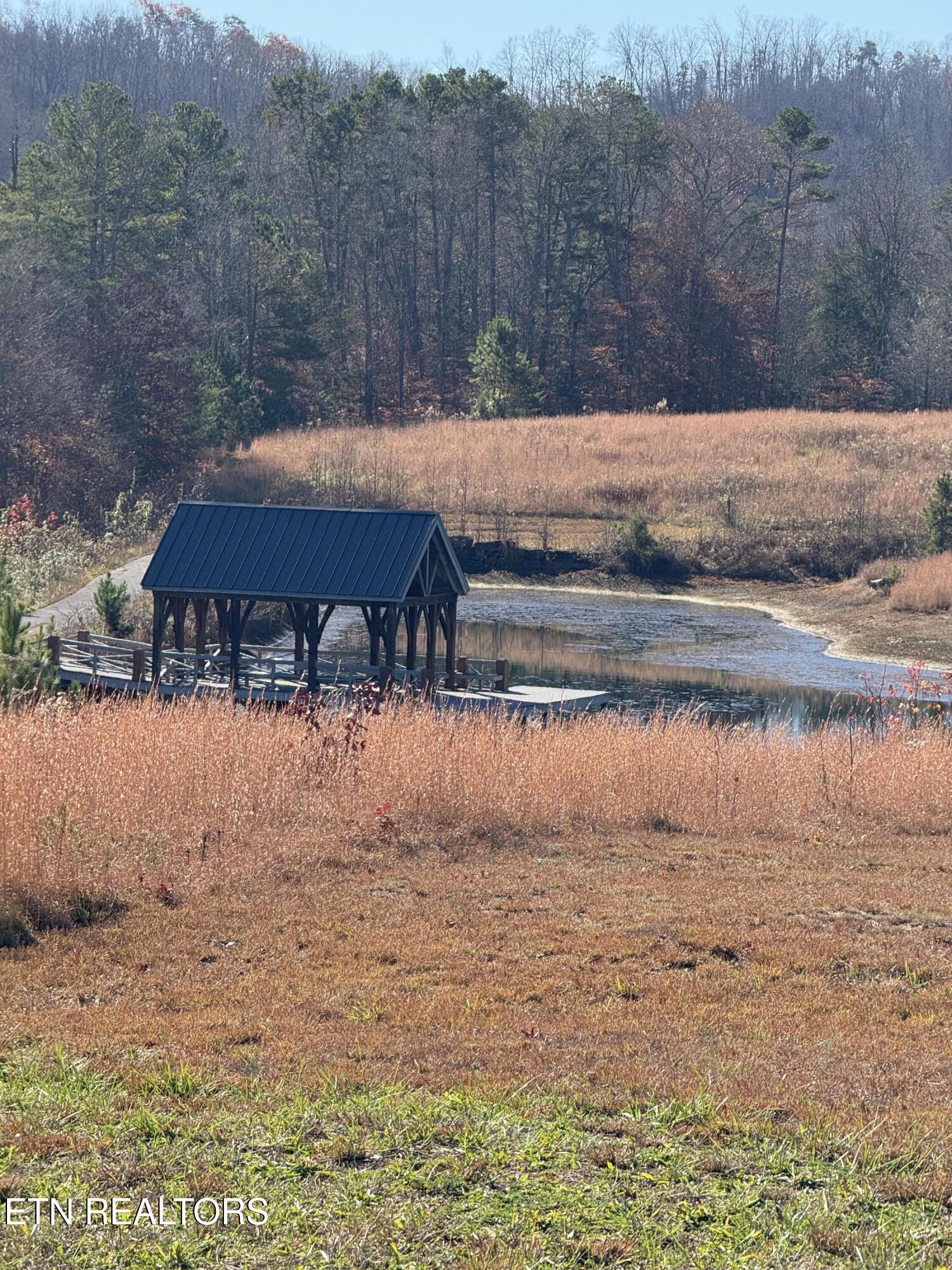 331 Enclave Way Kingston, TN 37763 - Photo 6 of 14 Highland Reserve Fishing Pond & Dock