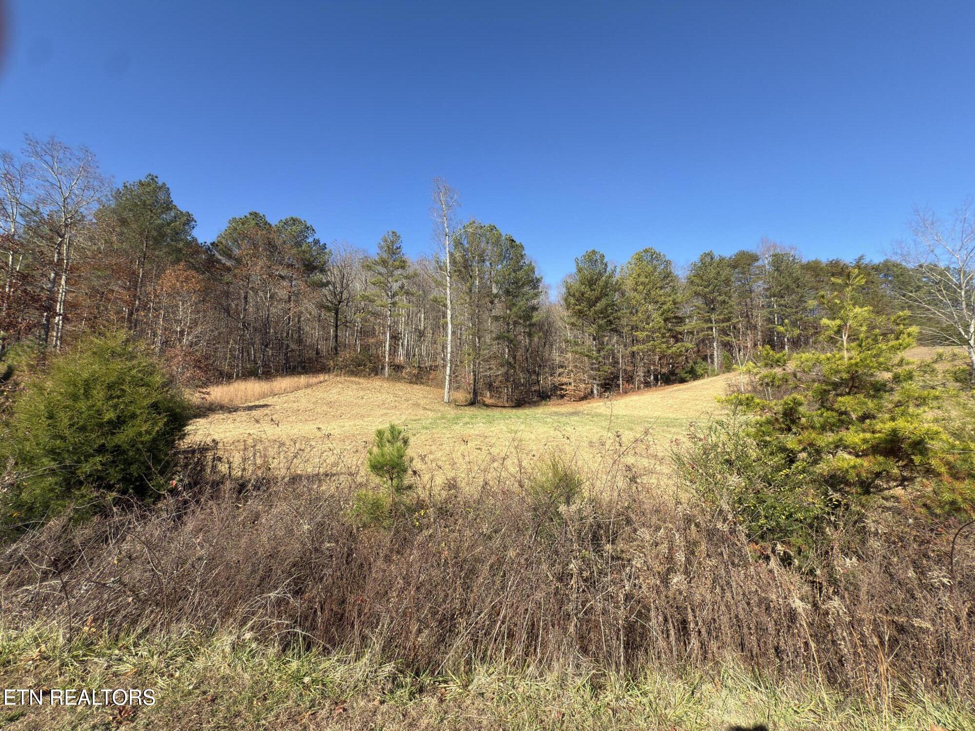 331 Enclave Way Kingston, TN 37763 - Photo 8 of 14 Lot 71 Street View of Lot