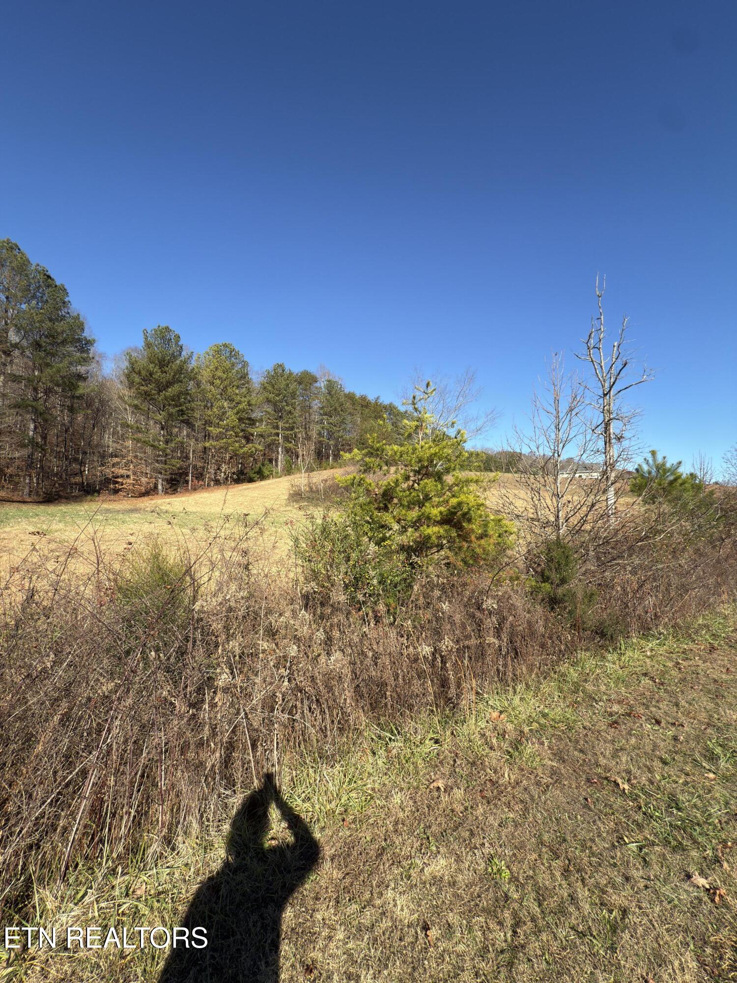 331 Enclave Way Kingston, TN 37763 - Photo 9 of 14 Lot 71 Street View A
