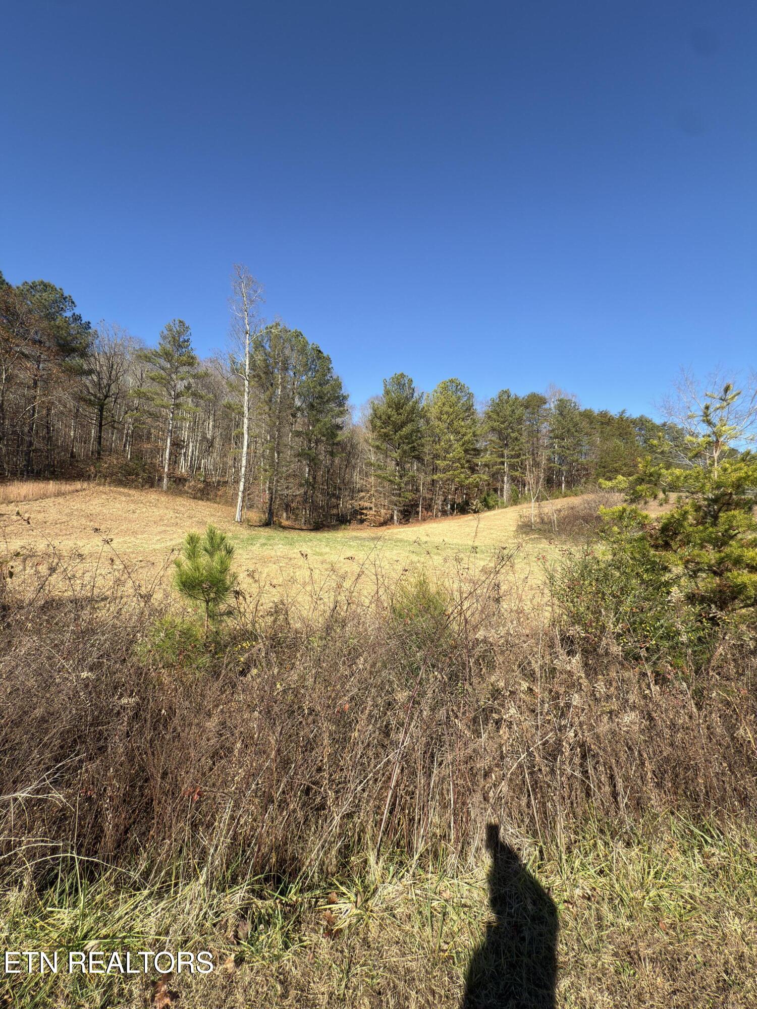 331 Enclave Way Kingston, TN 37763 - Photo 10 of 14 Lot 71 Street View B