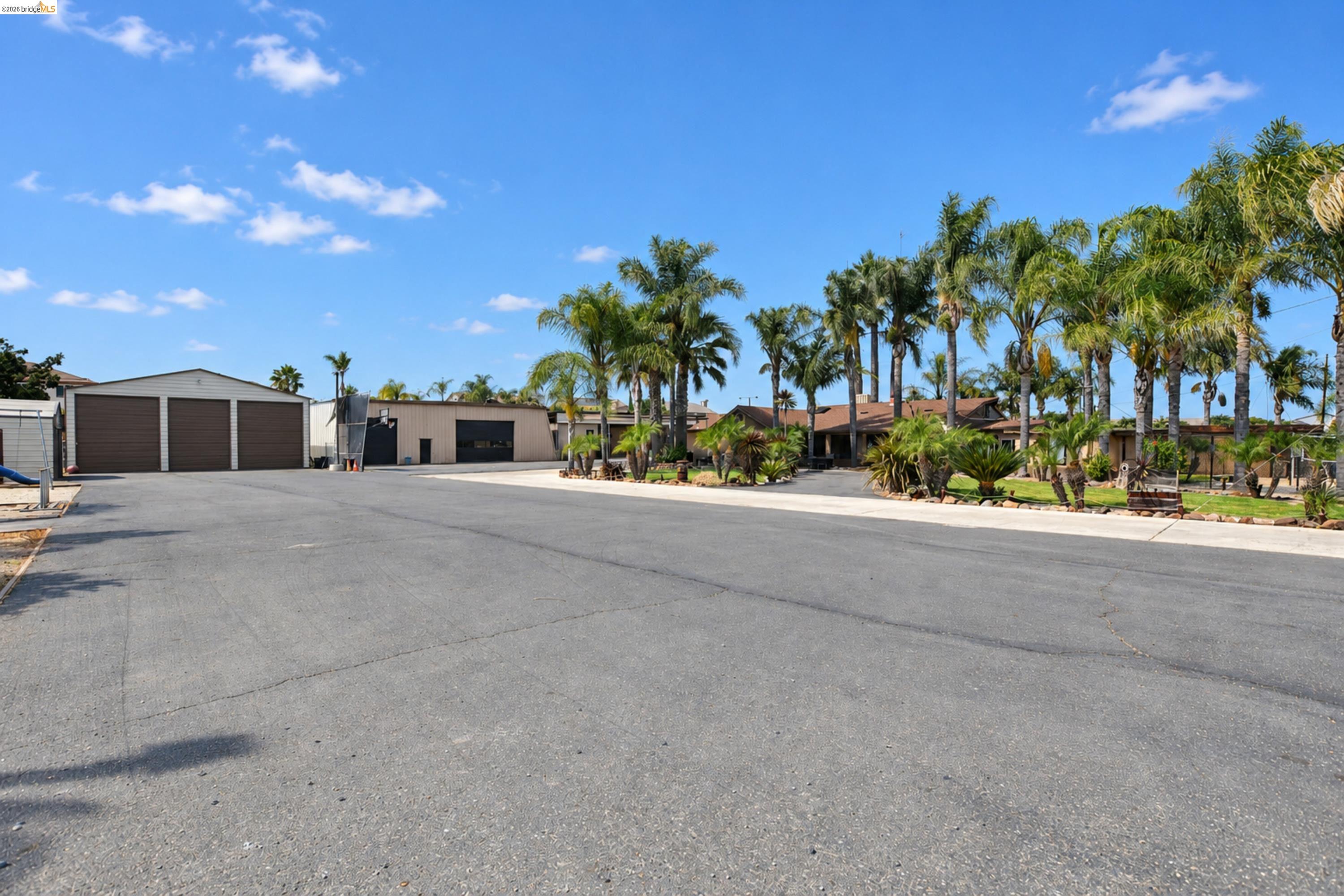 340 West Bolton Road Oakley, CA 94561 - Photo 7 of 87 Expansive paved driveway leading to multiple outbuildings with roll-up doors, and a residential structure framed by mature palm trees