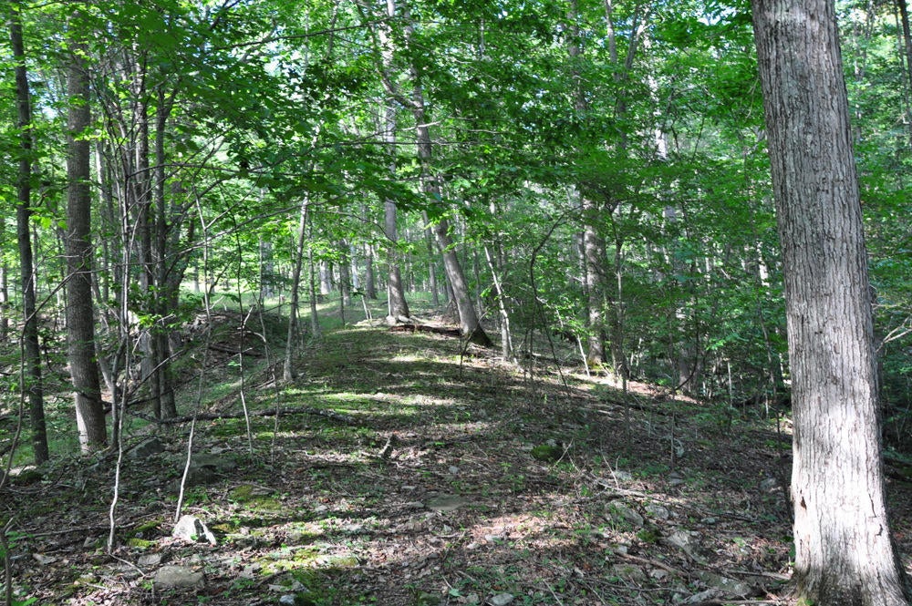 2438 Griffith Creek Road Alderson, WV 24910 - Photo 6 of 68 Gallery Image 6