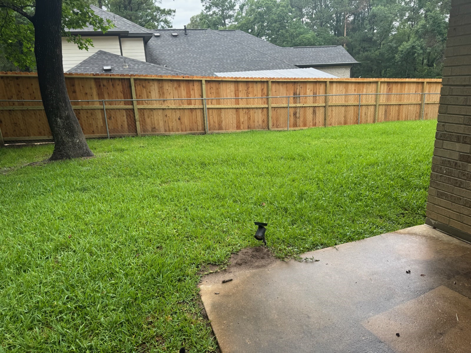 2232 Azalea Circle Huntsville, TX 77340 - Photo 16 of 24 Back yard
