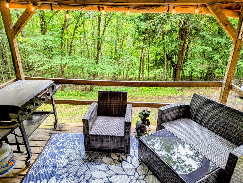 198 Spring Run Road Smethport, PA 16749 - Photo 2 of 26