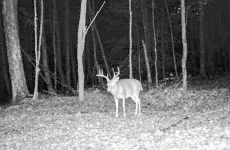 198 Spring Run Road Smethport, PA 16749 - Photo 24 of 26