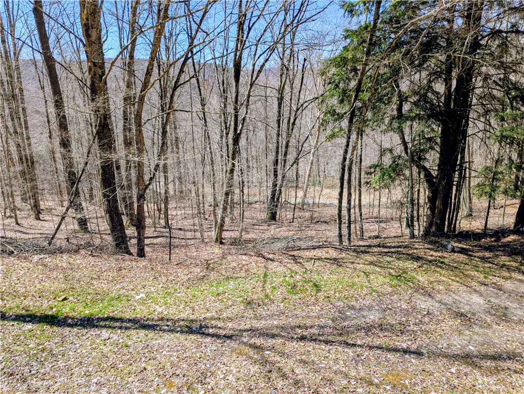 198 Spring Run Road Smethport, PA 16749 - Photo 5 of 26