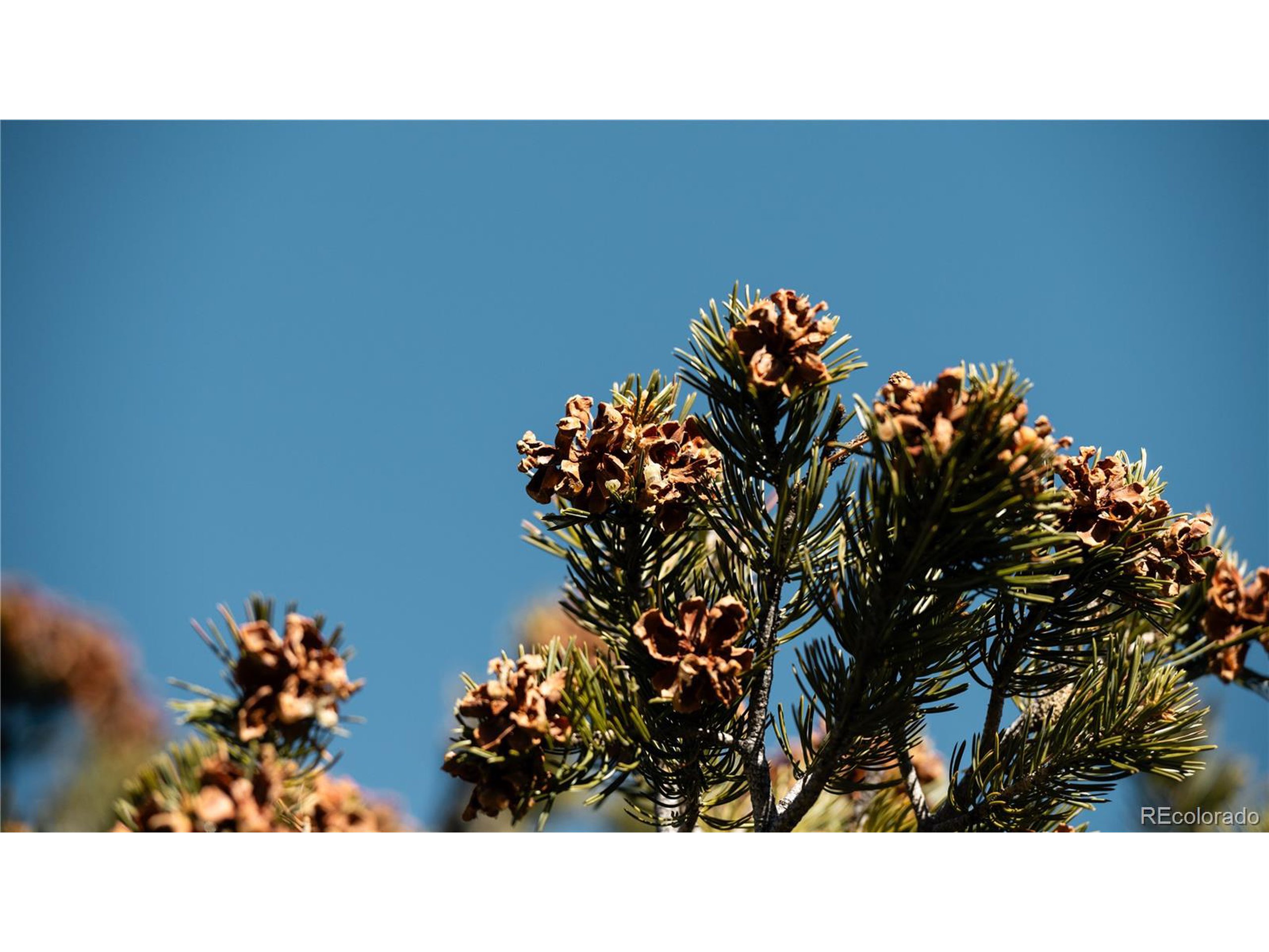 90 Elk Park Road San Luis, CO 81152 - Photo 20 of 34 a black and white photo of a room