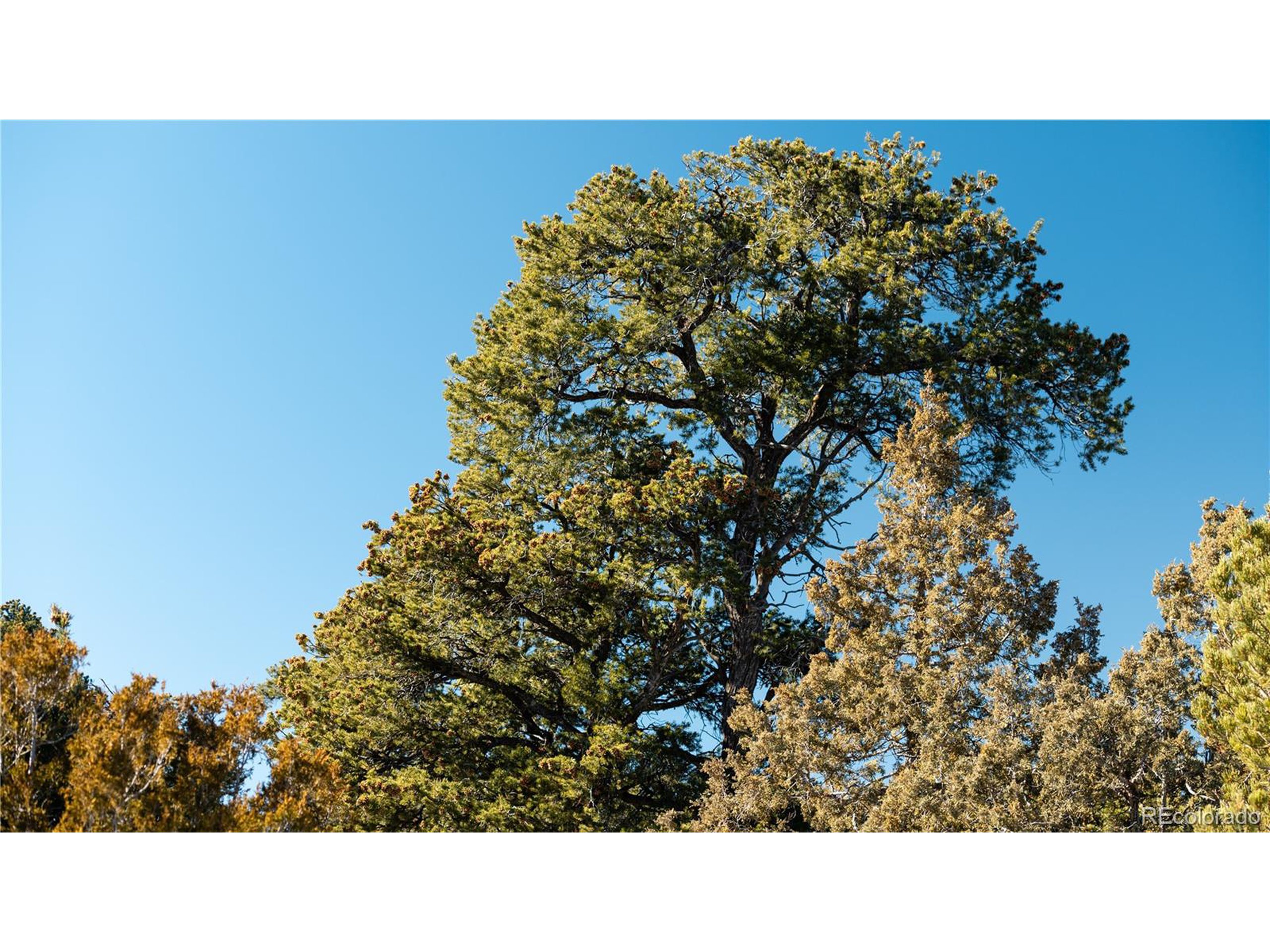 90 Elk Park Road San Luis, CO 81152 - Photo 32 of 34 a black and white photo of a house